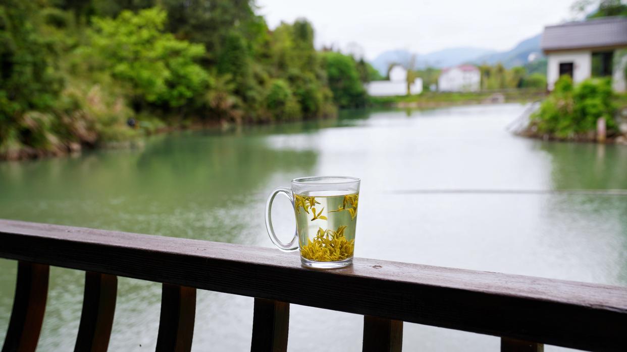 建德刀笃菜,倒笃菜是建德非遗吗