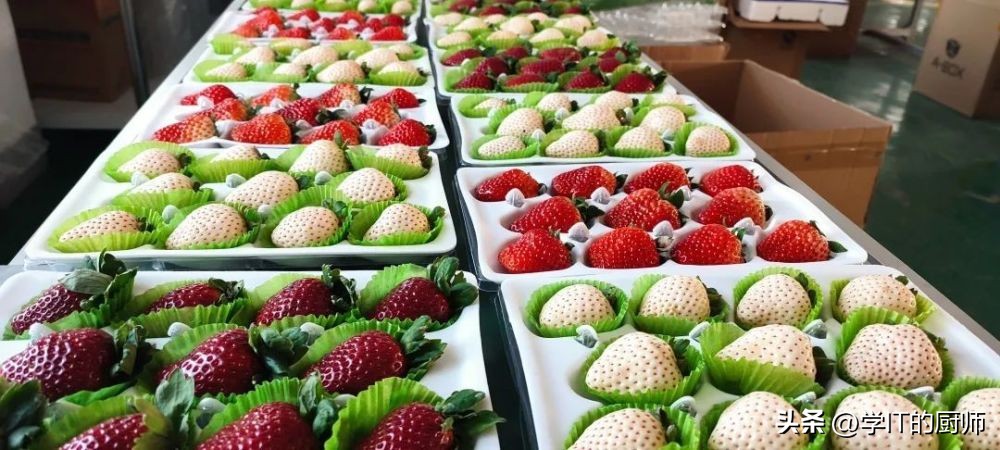 种植水果怎么开网店赚钱,发展特色水果种植带动老百姓增收