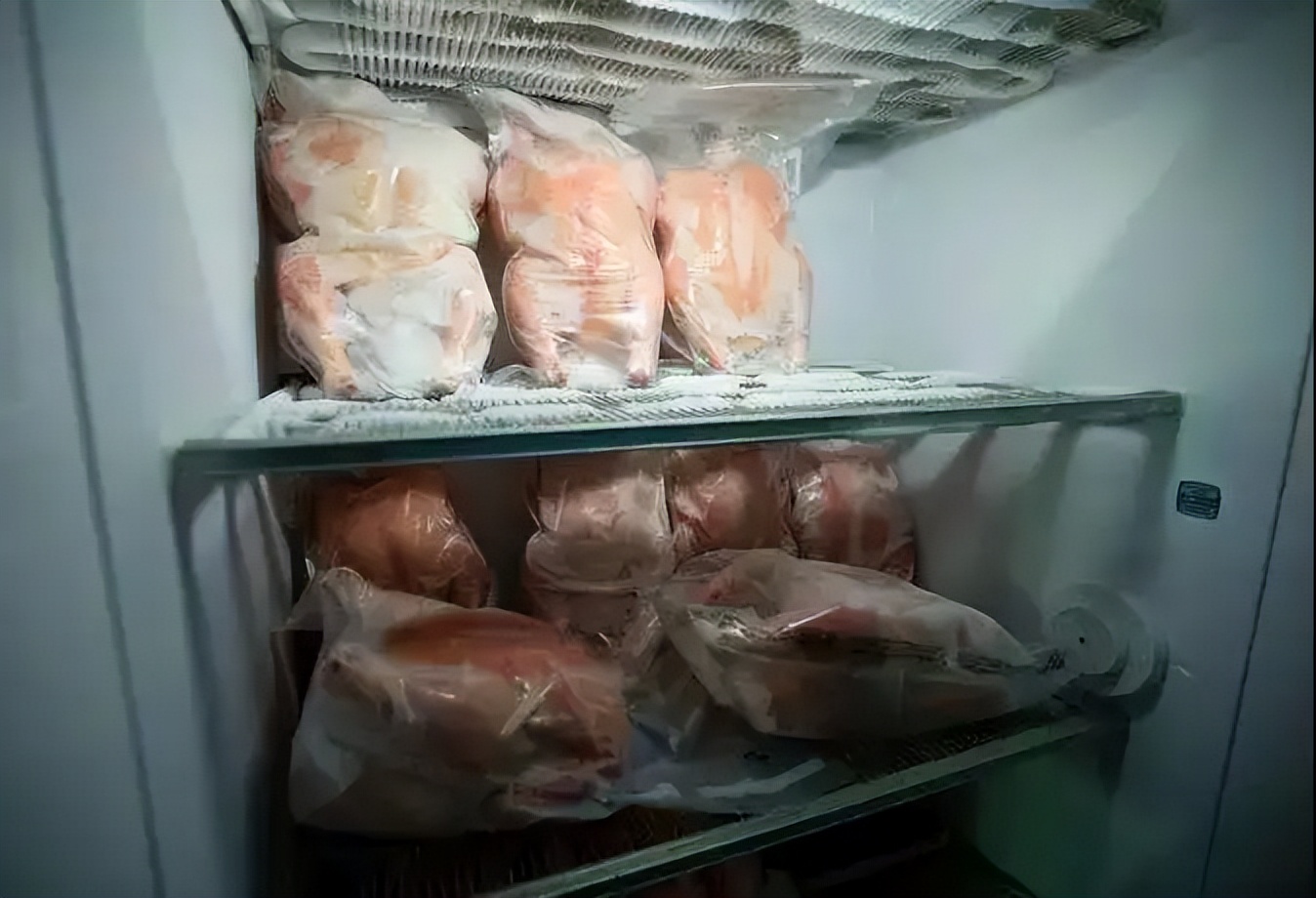 冰箱里冷冻的肉多长时间安全,冰箱冷冻半年的肉有什么害处