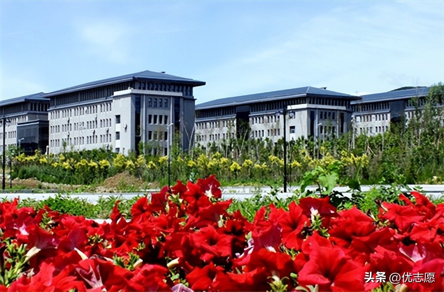 铁路专科职业院校排名前十,铁路大专院校排名前十就业率