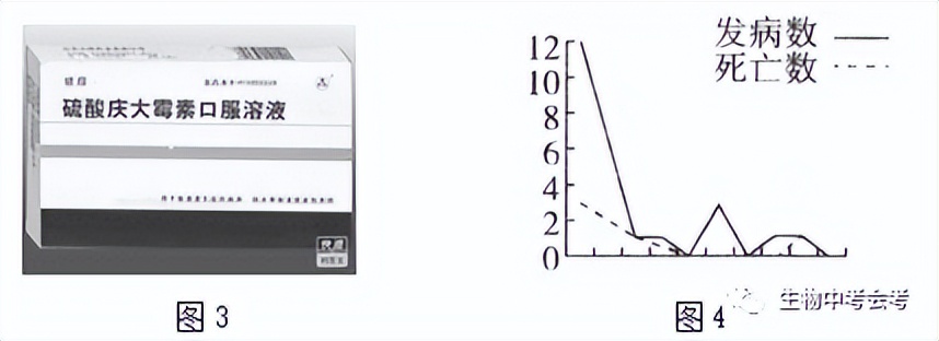 初中生物会考试卷复习视频,中考会考生物试卷