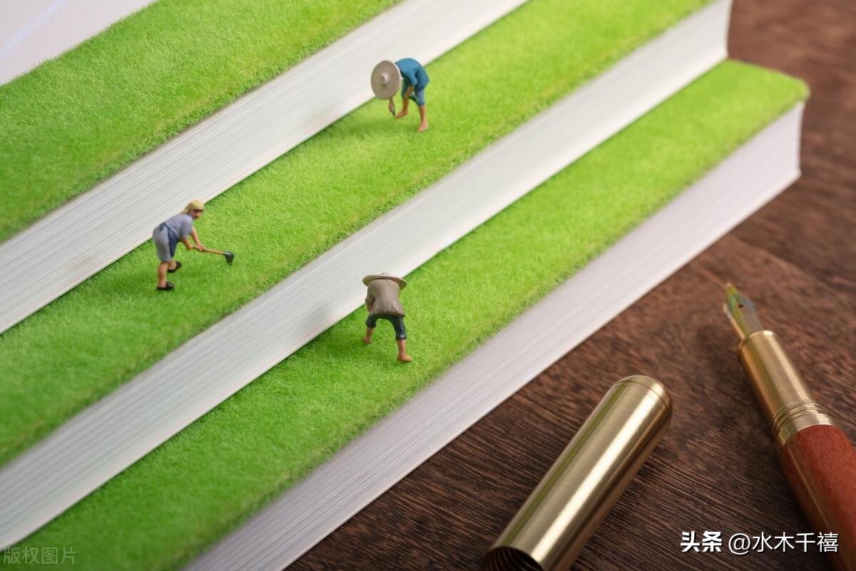 同花顺选股公式函数,分时线选股函数公式