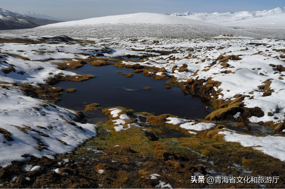 冬日青海的美，只有去过的人才知道