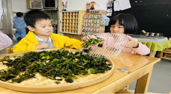 成都天府新区耘朵幼儿园在哪里,成都天府新区耘朵幼儿园地址