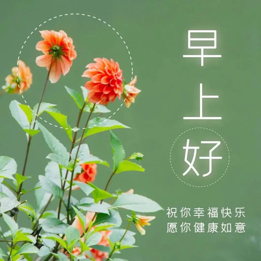 早安经典语录图文,新的一周早安正能量句子图文