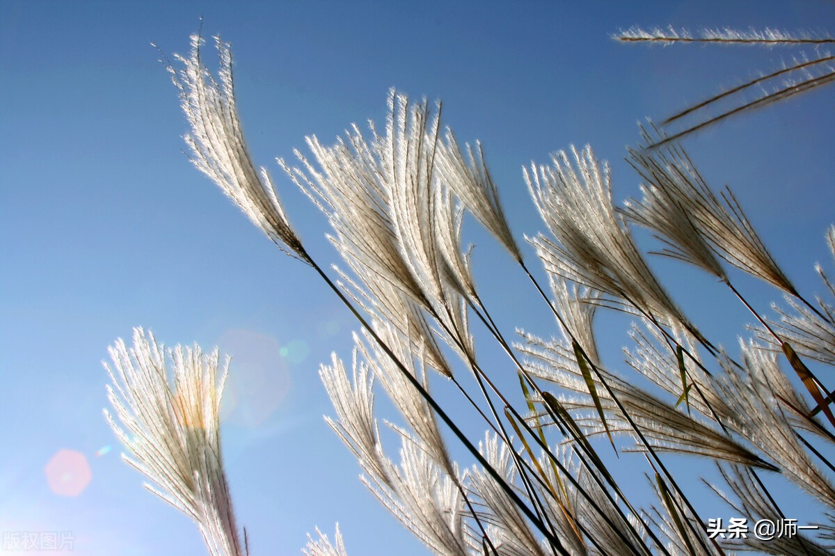 裸猿《道德篇》——自然•人类•科学(作者:詹克明)