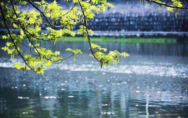 人过七十不上坟到底有什么讲究,大年三十不上坟有讲究吗