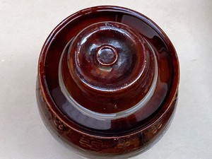 冬笋的保存方法视频,冬笋的保存方式