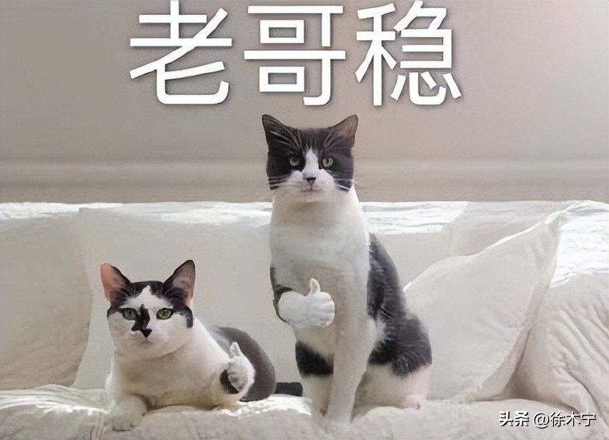 如果你对手机性能要求很高，但预算不高，这4款手机蒙眼入不会错