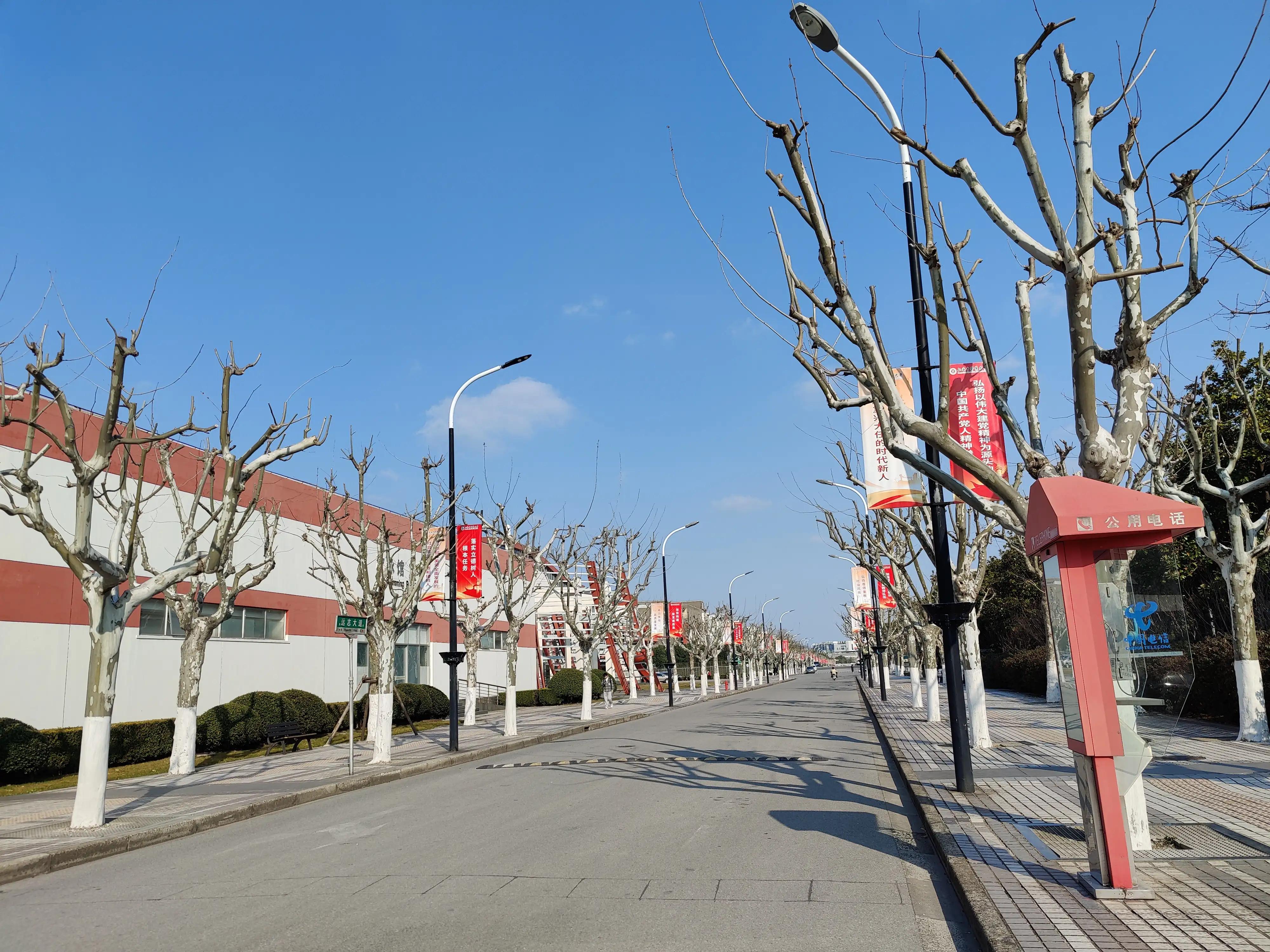 上海中医药大学游览,上海大学一日游价格