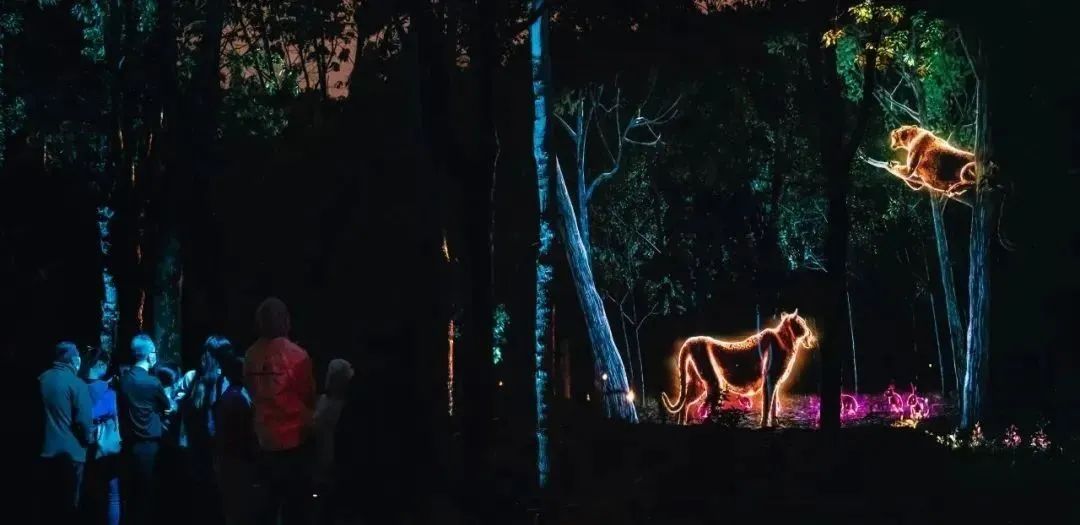 全球沉浸式场景体验,沉浸式体验项目