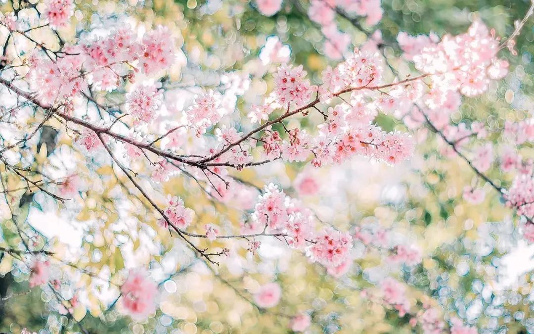 18岁成人生日祝福简短走心的句子,儿子生日简短走心的句子经典语录