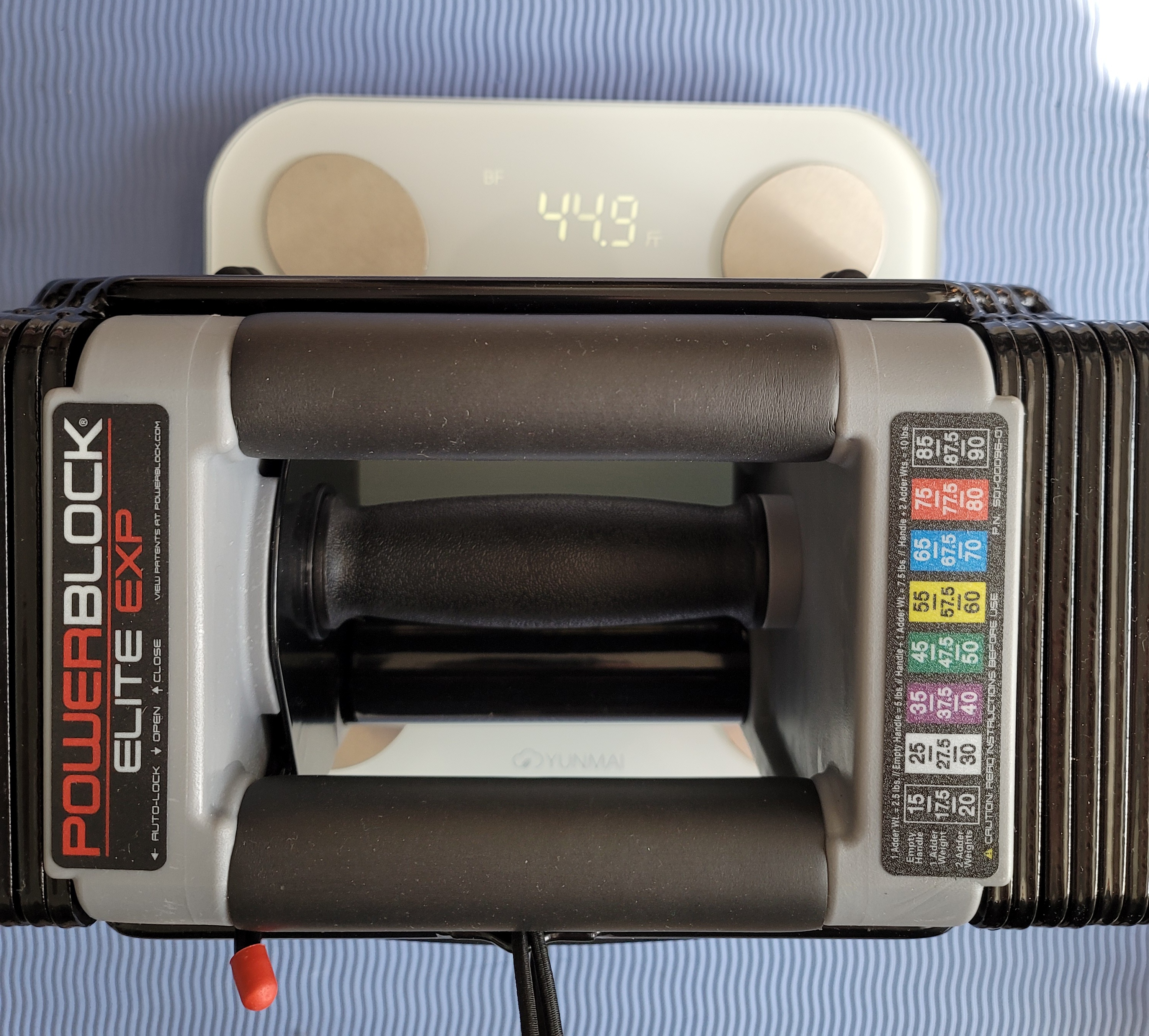 哑铃健身动作大全,健身装备分享哑铃