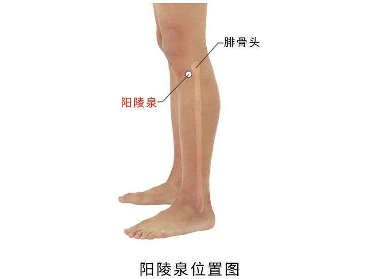 膝五针治疗什么,膝关节痛三针疗法