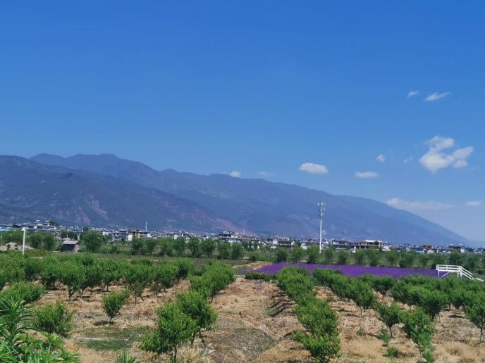 自驾游昆明丽江大理路线攻略 (昆明大理丽江五日自驾游攻略)