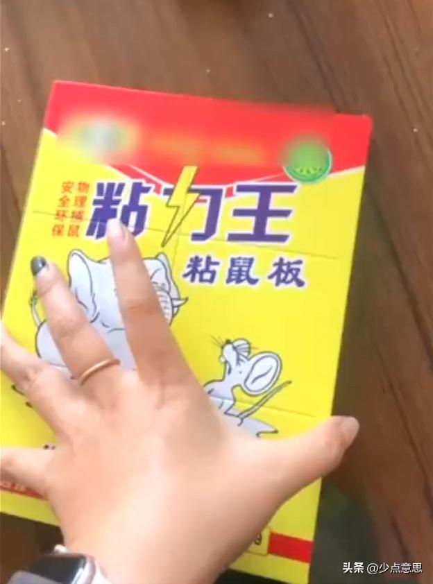 女子买粘画大饼粘鼠板后续 (画大饼粘鼠板后续)