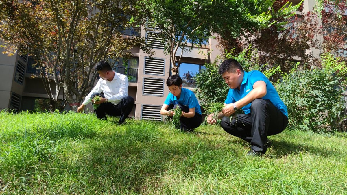 鐢ㄥ績鏈嶅姟涓嶆柇鎻愬崌鏈嶅姟鍝佽川,鐢ㄥ績鐒曟柊鍒涙柊涓嶆