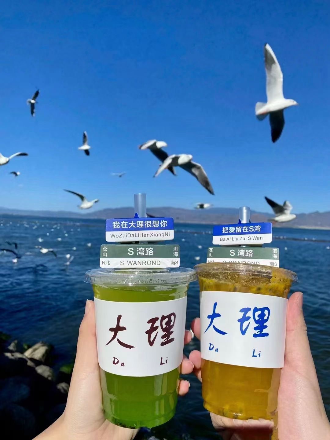 旅游卡项目加盟代理,旅游卡项目加盟代理需要多少钱