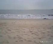 香港游靠谱旅行社,香港游港珠澳大桥