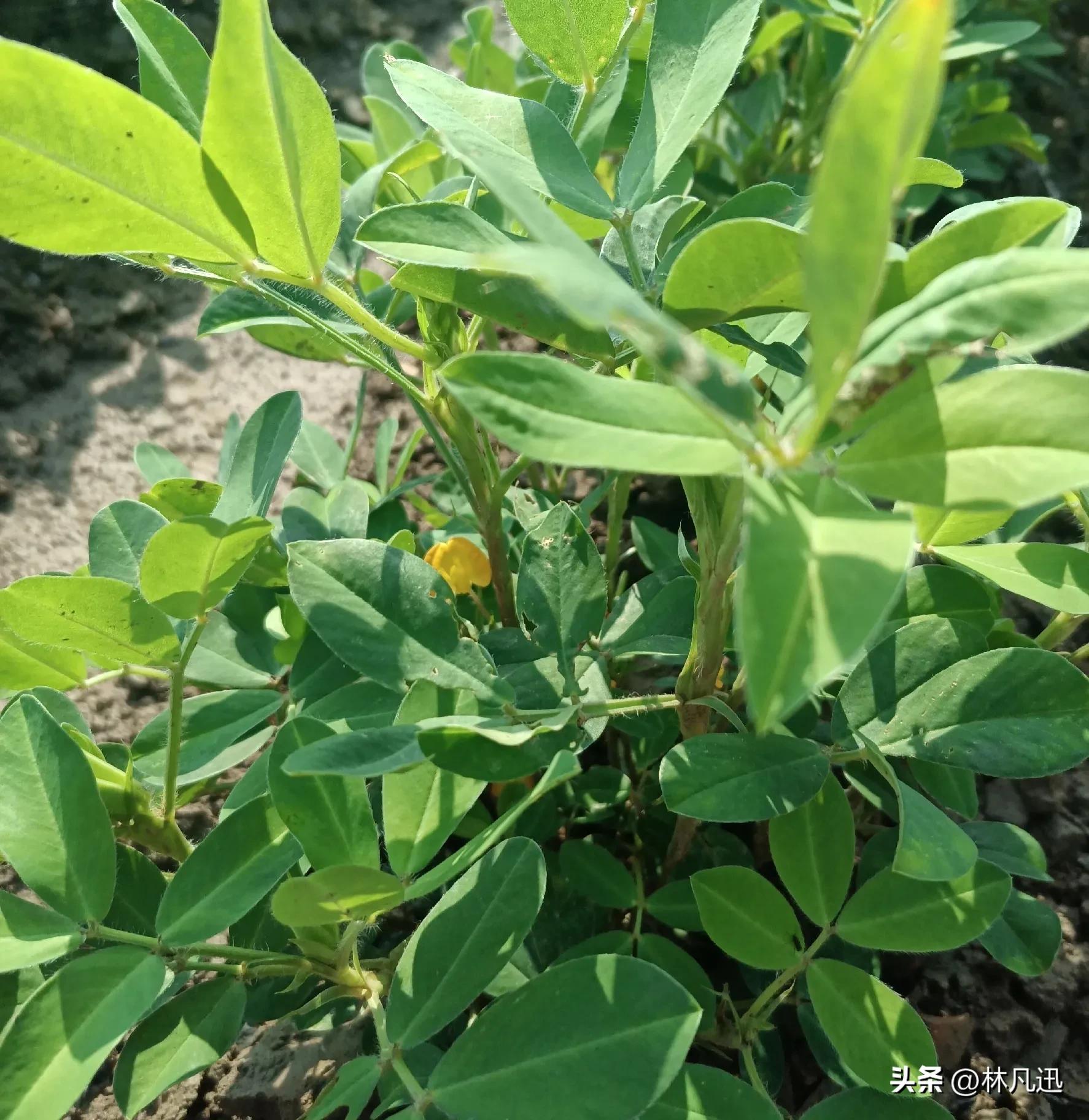慢慢变富和快速赚钱,稳稳的赚钱慢慢变富