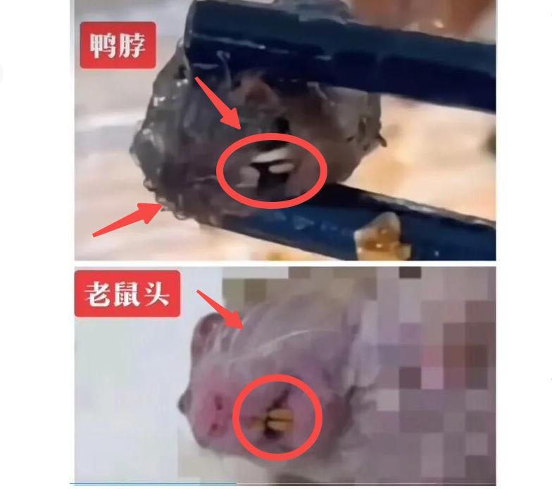 闹大了！“老鼠头事件”，教育厅出马，会不会有人已经瑟瑟发抖？