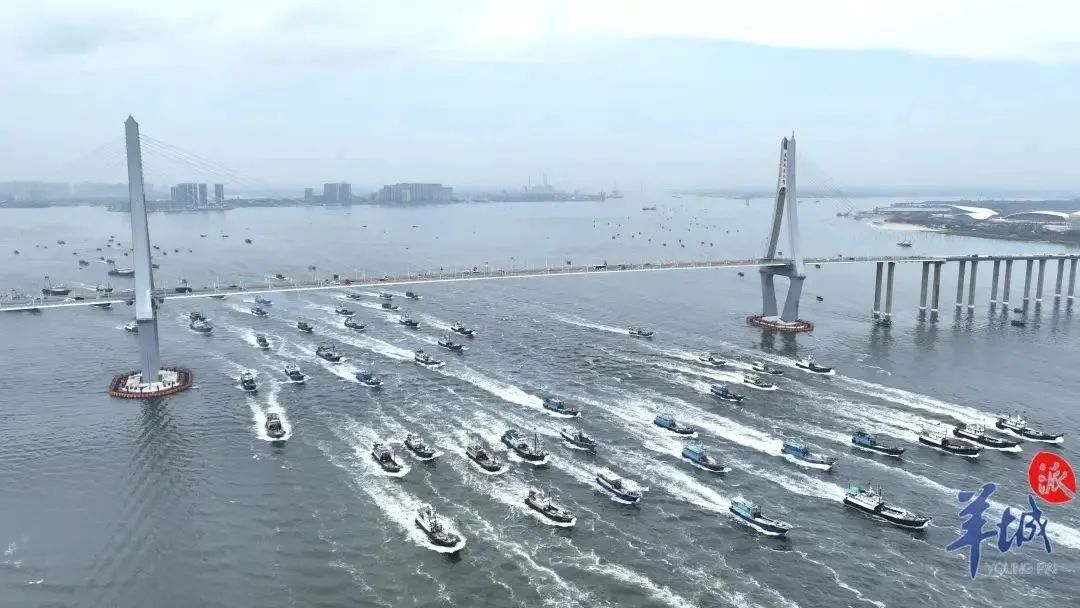 开渔期广州吃海鲜的地方,开渔了还敢吃海鲜吗