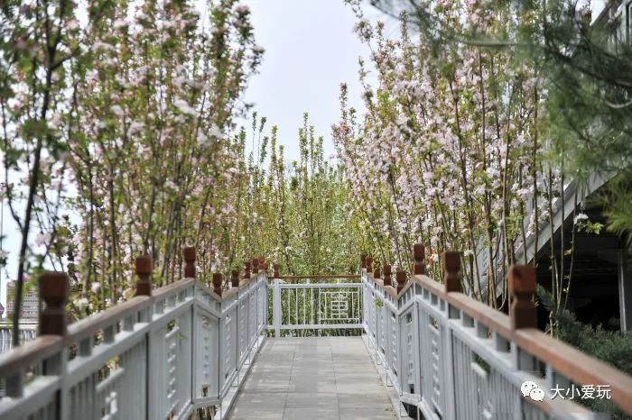 北京花海休闲公园,帝都游乐场