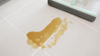 家用拖把哪种最干净,家用拖把哪种比较方便好用