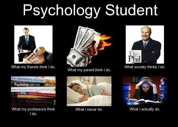 最新十大天坑,十大天坑专业之首