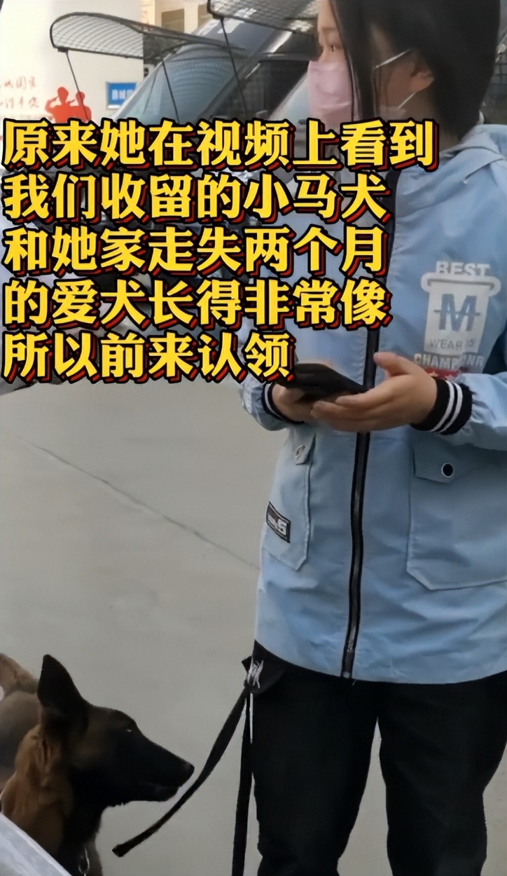 网红警犬巴万抖音正能量,网红警犬巴万上央视