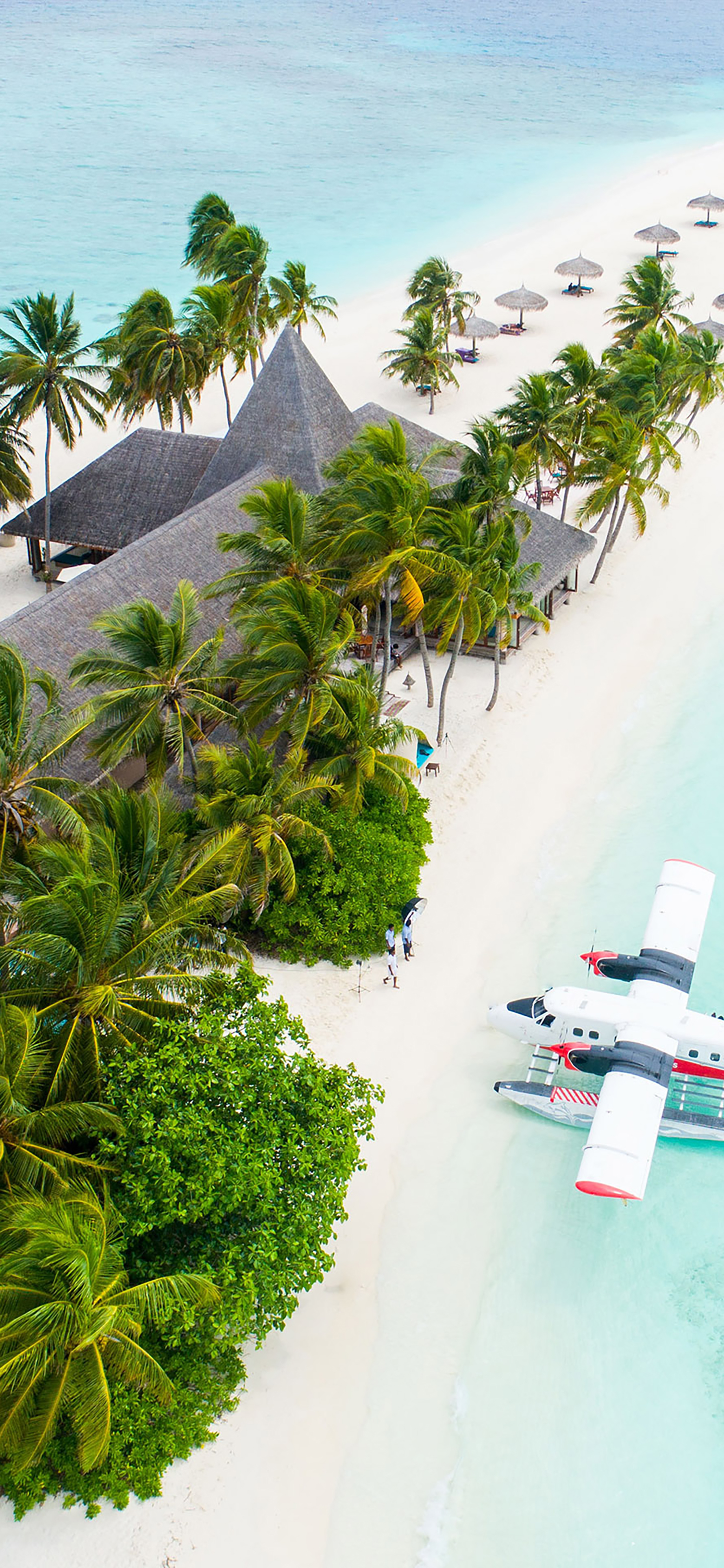 风景壁纸春,春天有百花秋有凉风冬有雪壁纸