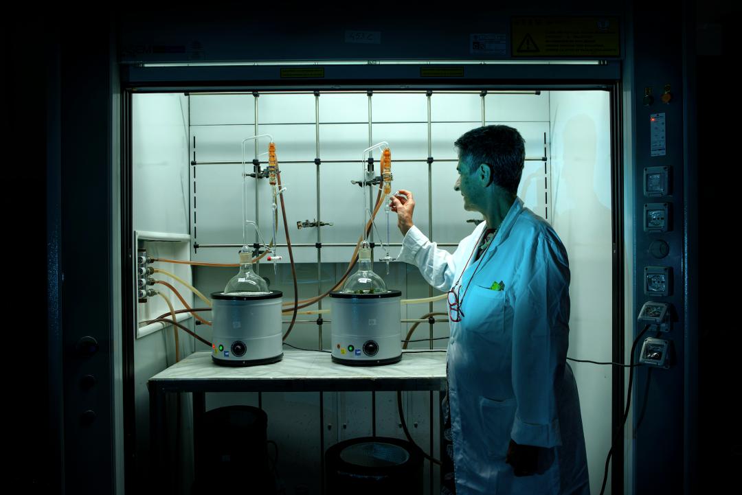 2022索尼摄影大赛征稿,2022索尼世界摄影大赛