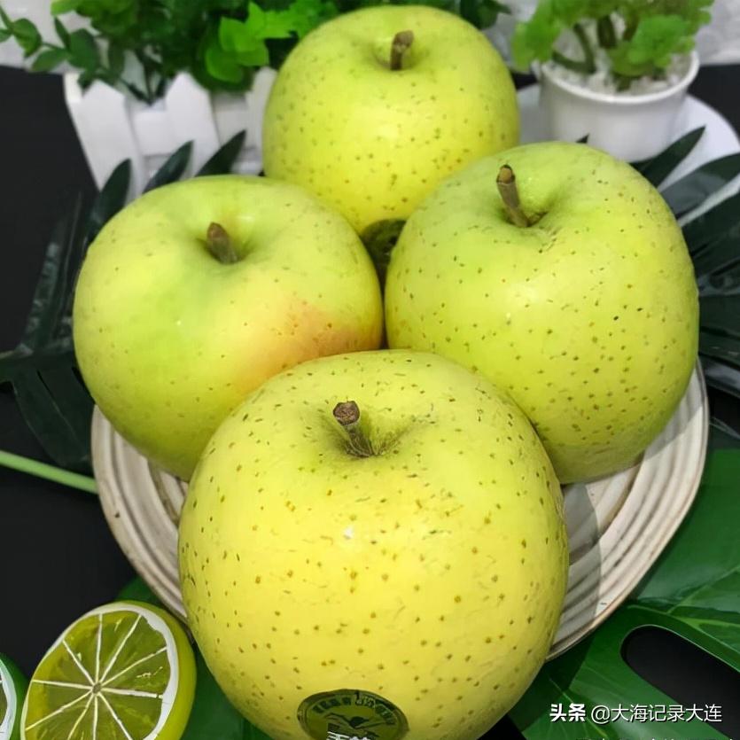 大连瓦房店红富士苹果,大连瓦房店苹果排行榜