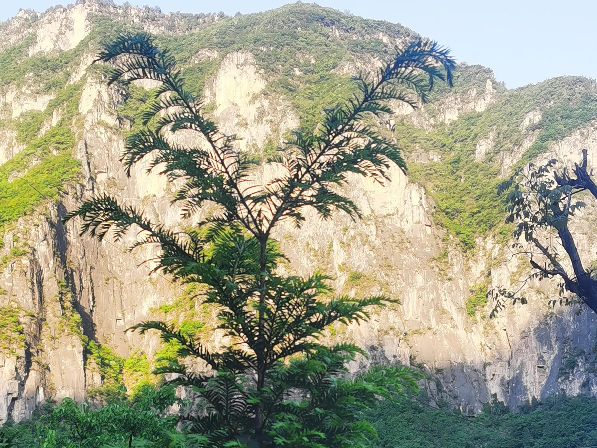 灵岩大佛山徒步,徒步灵岩山寺美篇