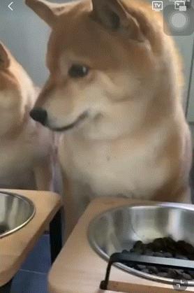 家庭监控下的一幕真实视频完整版,家庭监控下的真实一幕