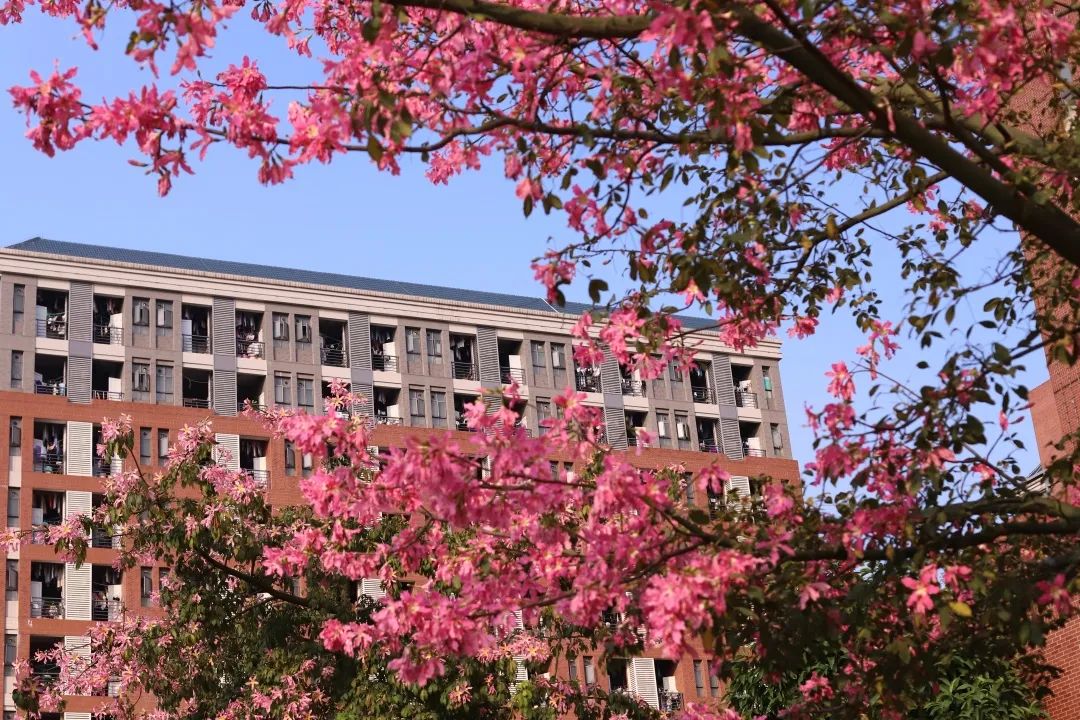 高考生报考大学，选择广州新华学院的十大理由