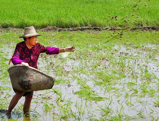 男将，女将——湖北，男人女人都是“将”