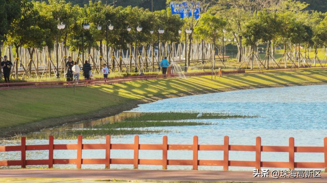 登山赏景、运动健身…快来打卡高新区秋游好去处！