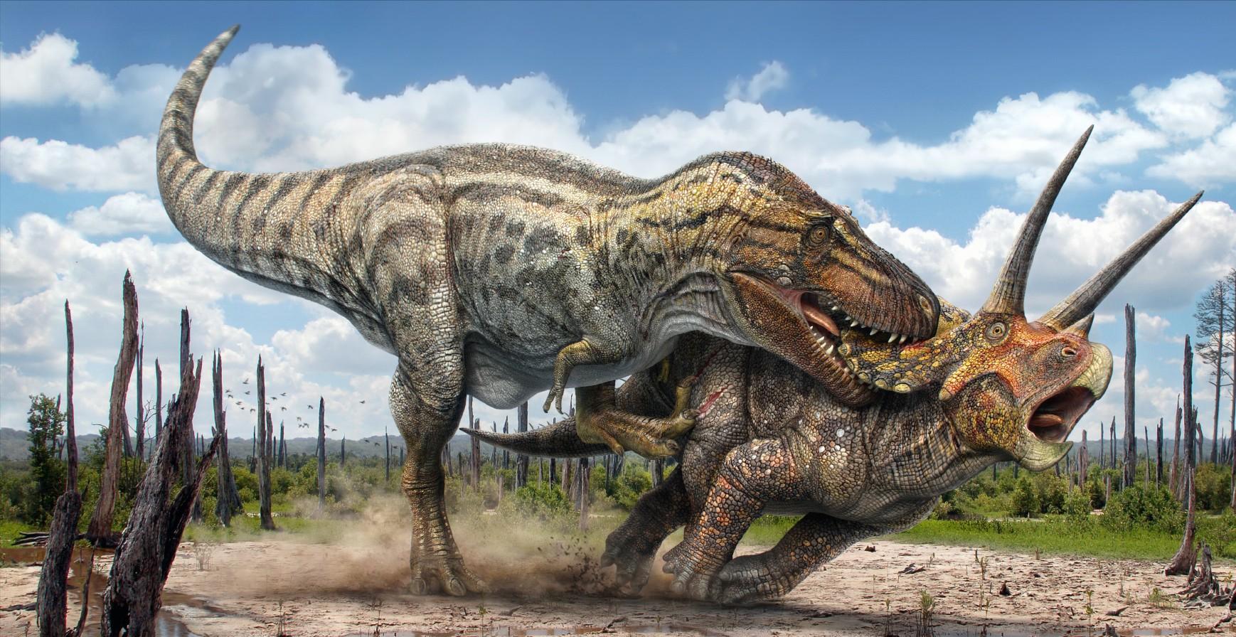 盘点十种能秒杀霸王龙的恐龙,十大比霸王龙厉害的恐龙