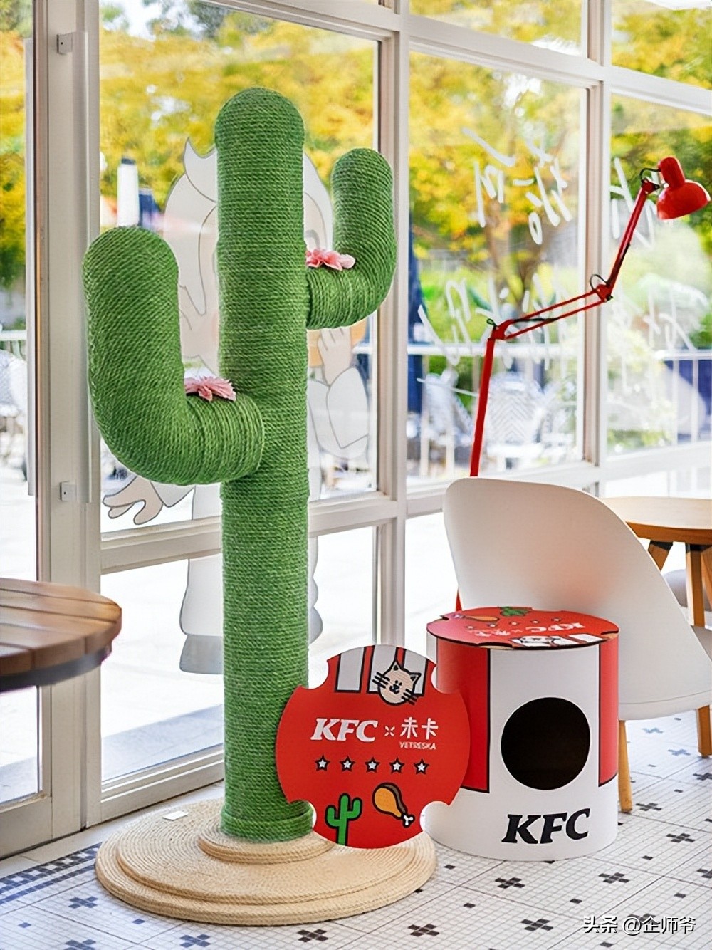 肯德基自制猫窝,肯德基允许带猫吗