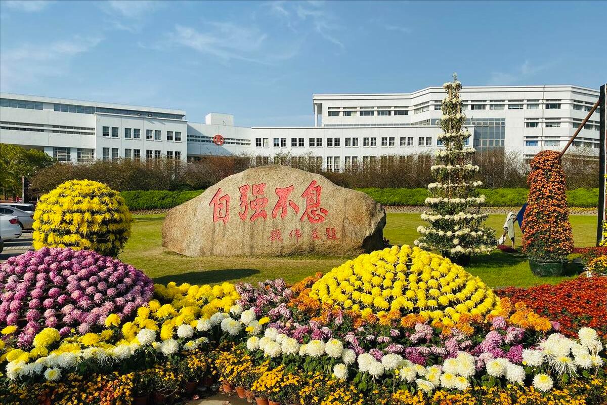 录取340人！上海大学2023年美术设计类专业录取分数线