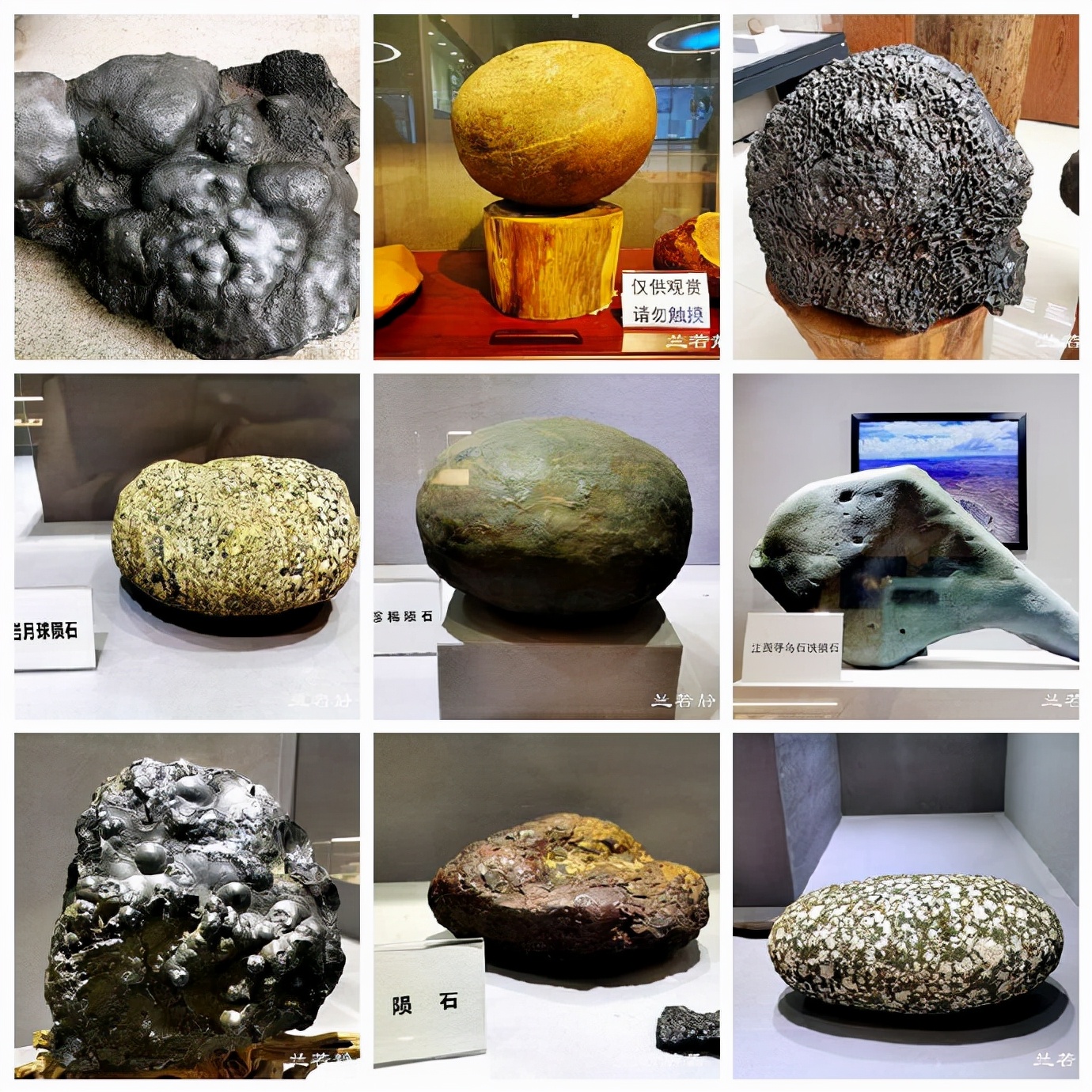 厦门白鹭洲公园陨石展览馆,白鹭洲公园是厦门的宝藏公园