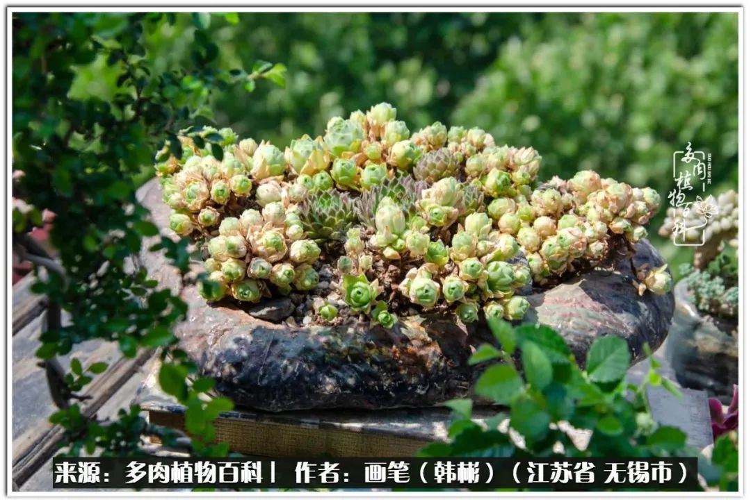 每个人的身旁都要有太阳,每个人都有一颗太阳