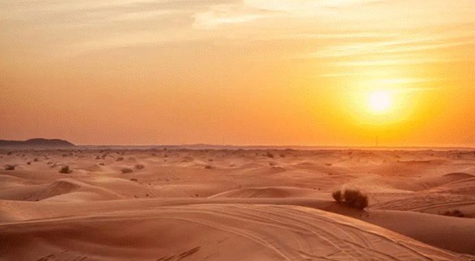 土库曼斯坦永久中立国的地位,土库曼斯坦中立国