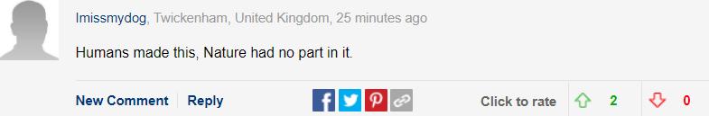 巴哥犬最大的特点,巴哥犬的3个优点和4个缺点