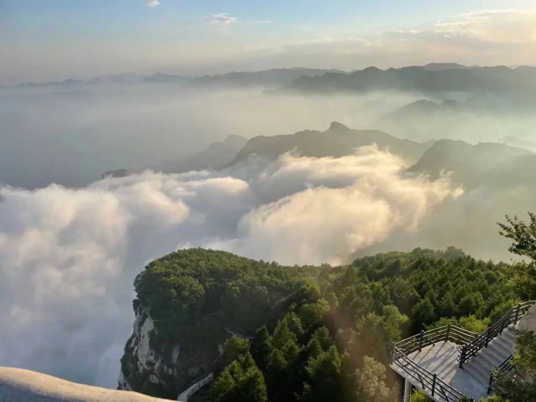 享受阳光享受大自然天然氧吧,值得一去的天然森林氧吧