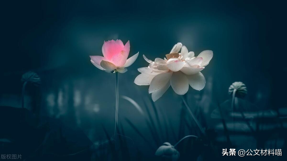 关于字形的好词好句,50个字又短又好写的句子