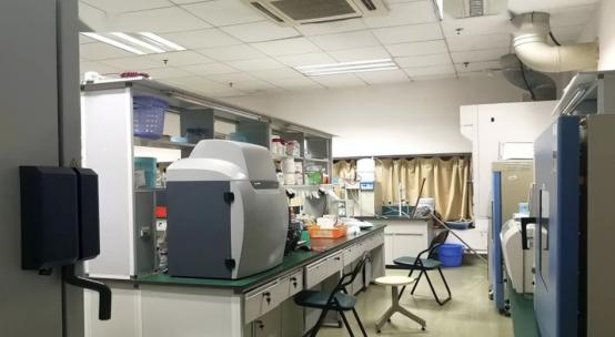 月薪300的外贸员，靠蛇毒身家暴涨50亿，美国人送悍马只为讨好她