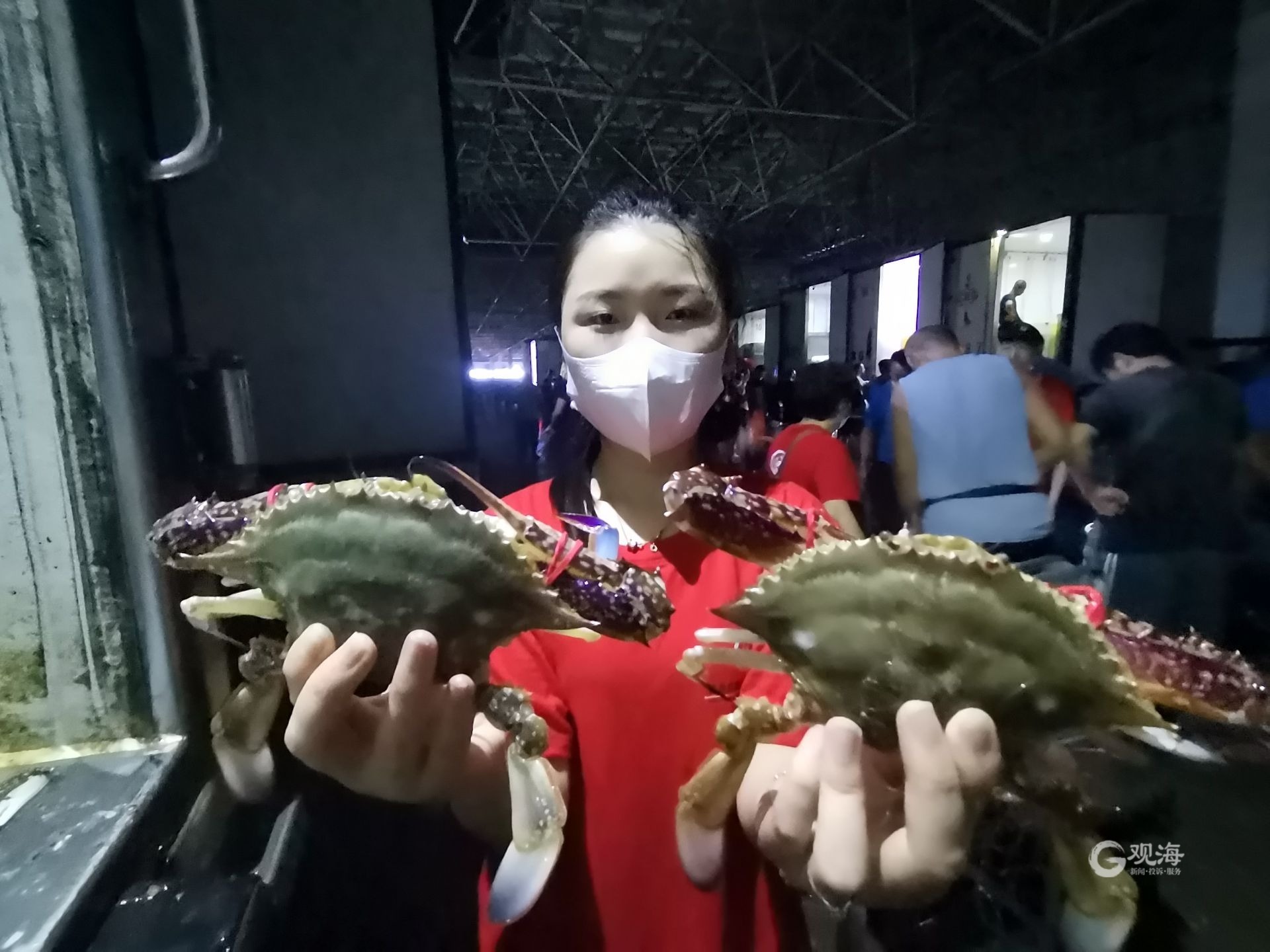 青岛30万斤南方梭子蟹6小时卖光,青岛大量梭子蟹是从哪里进来的