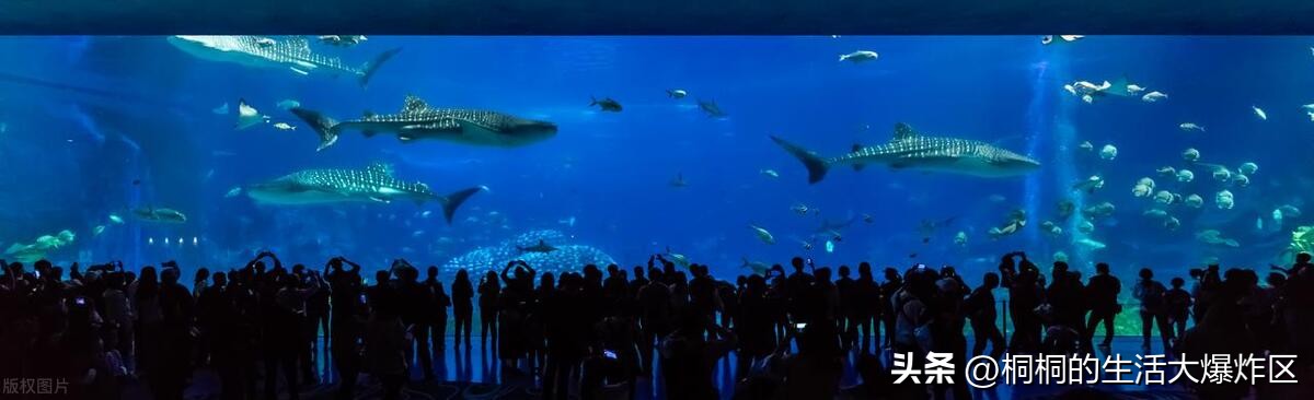 珠海周边哪里适合一日游,珠海旅游百岛之城